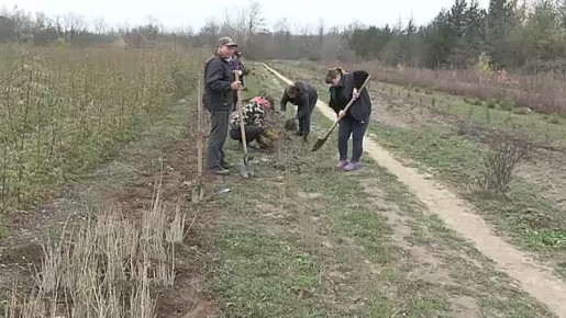 В Запорожской области идёт подготовка к осенней посадке растений