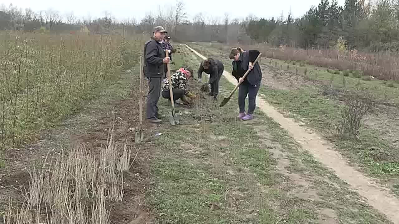 В Запорожской области идёт подготовка к осенней посадке растений