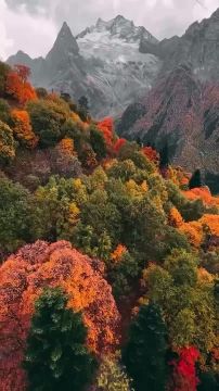 Доброго утра , дорогие Мелитопольцы!