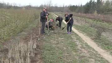 В Запорожской области идёт подготовка к осенней посадке растений