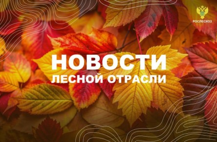AK&M: Рослесхоз: с начала года специалисты рассмотрели 97% обращений граждан