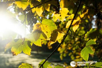 Погода на новых территориях России