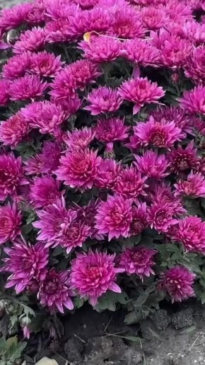 Доброе утро!. Сегодня — суббота: идеальный день для неспешного завтрака, прогулки и отдыха душой