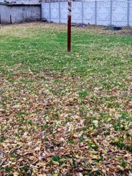 Сотрудники МБУ "Жилсервис" провели работы по благоустройству территории вокруг памятника и детской площадки в селе Орлово