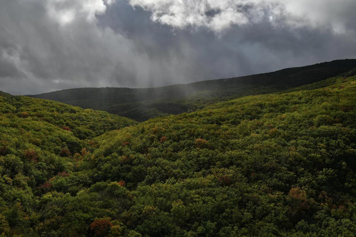 Погода на новых территориях России