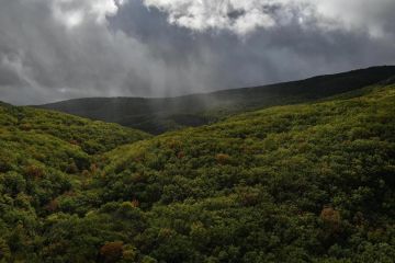 Погода на новых территориях России