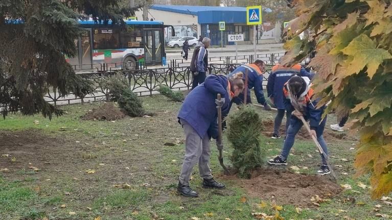 Скверы и парки Мелитополя обретают зеленые краски
