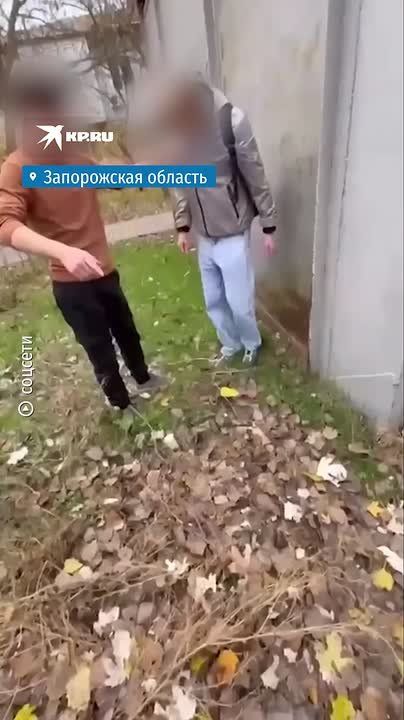 Бастрыкин взял под личный контроль дело об избиении подростка в Мелитополе