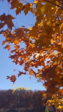 Доброго утра , дорогие Мелитопольцы!