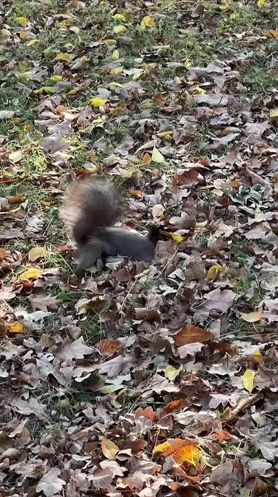 Доброе утро, Мелитопольский район!