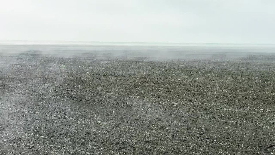 Доброе утро! Туман тихо стелется над землёй, будто мягкое одеяло, укрывающее мир перед пробуждением