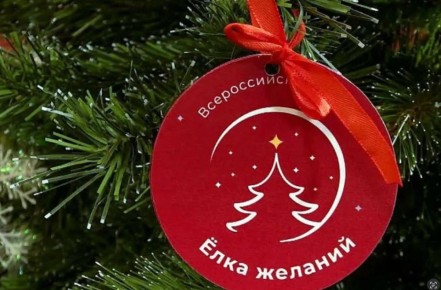 Началась ежегодная всероссийская предновогодняя акция «Ёлка желаний»