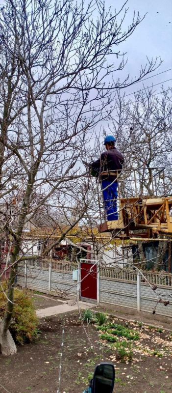 Расчистка трассы ВЛ в Мелитопольском муниципальном округе