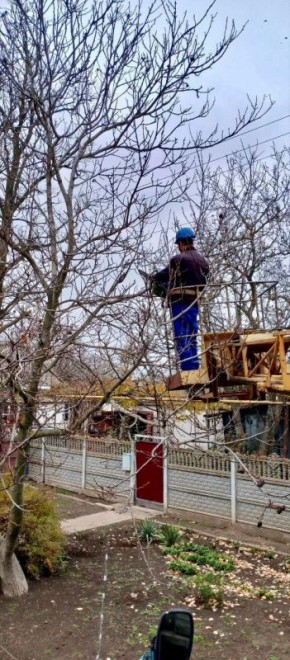 Расчистка трассы ВЛ в Мелитопольском муниципальном округе