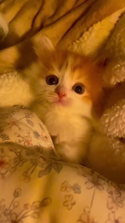 Доброе утро! Воскресенье — день для души: для мечтаний, прогулок и тихих радостей