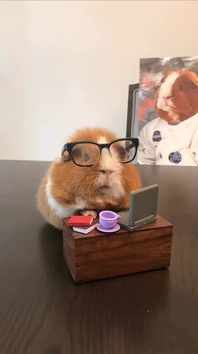 Друзья, зарядились энергией на выходных? Мы тоже!