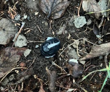 В Мелитополе сотрудники полиции задержали закладчика синтетических наркотиков