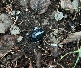 В Мелитополе сотрудники полиции задержали закладчика синтетических наркотиков