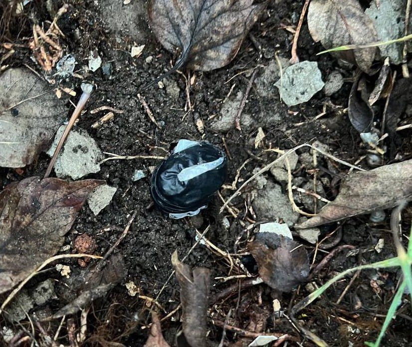 Очередного «закладчика» задержали в Мелитополе