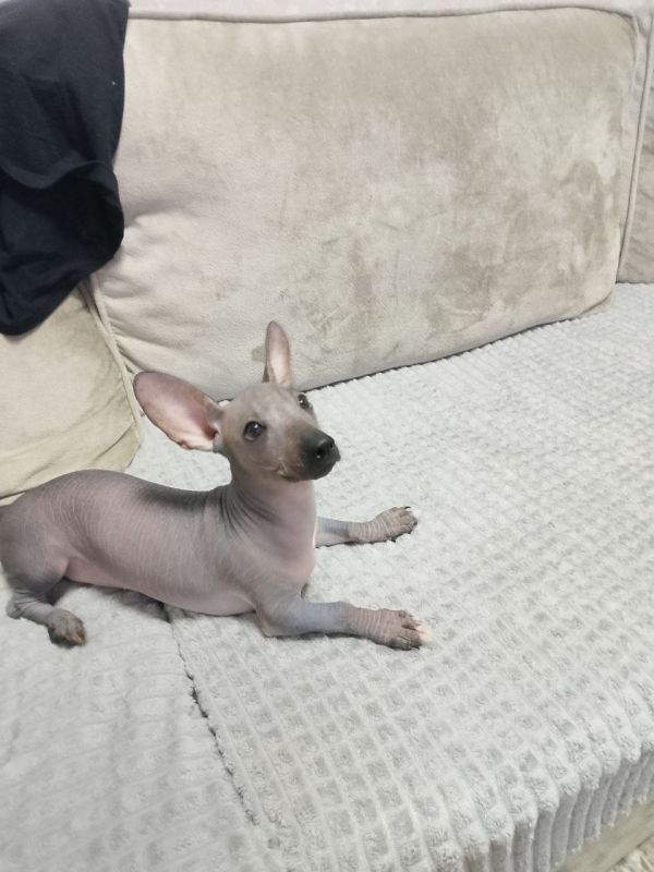 Доброе утро! Тёплый привет вам из села Заречное — от подписчицы Натальи и её любимой собаки Вари!