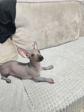 Доброе утро! Тёплый привет вам из села Заречное — от подписчицы Натальи и её любимой собаки Вари!