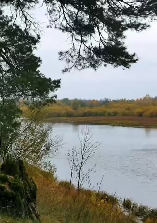 Доброе утро!. Пусть среда будет продуктивной, а ноябрьская прохлада — в радость! Хорошего дня! Подписывайтесь на "Мелитопольский район"