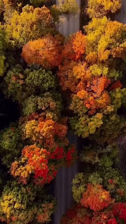 Доброе утро, Мелитопольский округ!