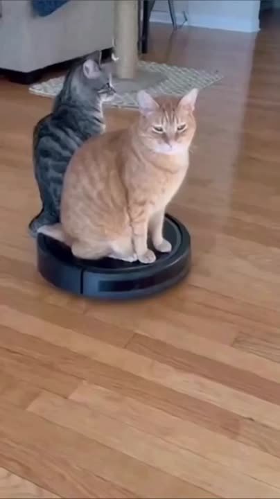 Привет, последние осенние выходные!