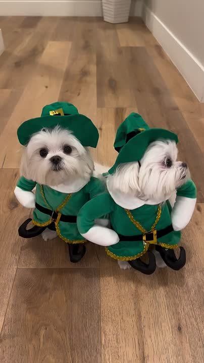 1 декабря! Время чудес начинается! Сегодня тот самый день, когда мы официально запускаем режим «ожидание праздника»!