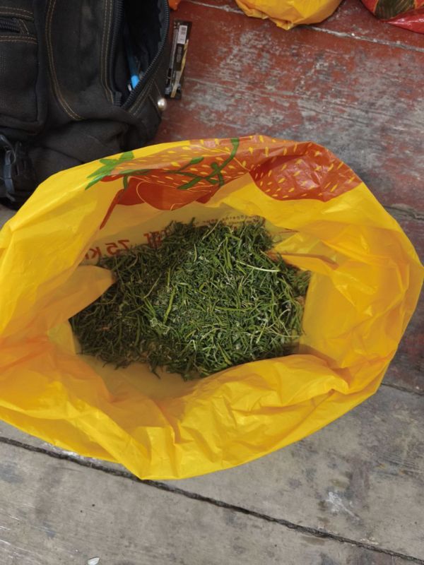 �������������� ����������� � ���������� ������ ��������� �������������� � ���������� ����������� �������