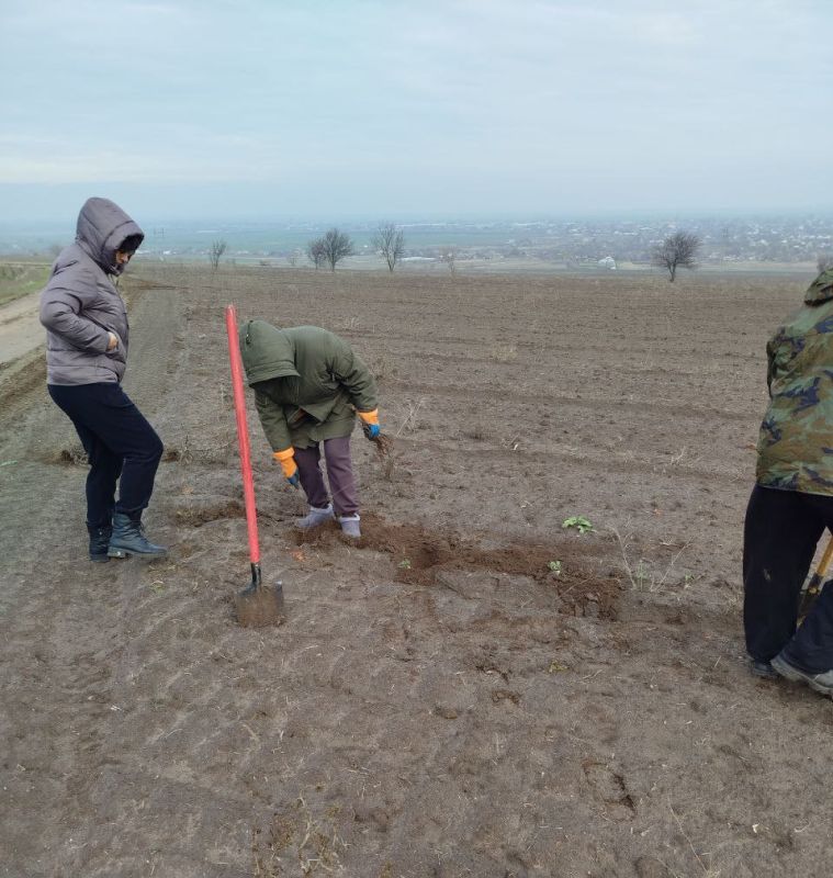 ������� ������ ���������� � ����������� ������� ���������� �������������