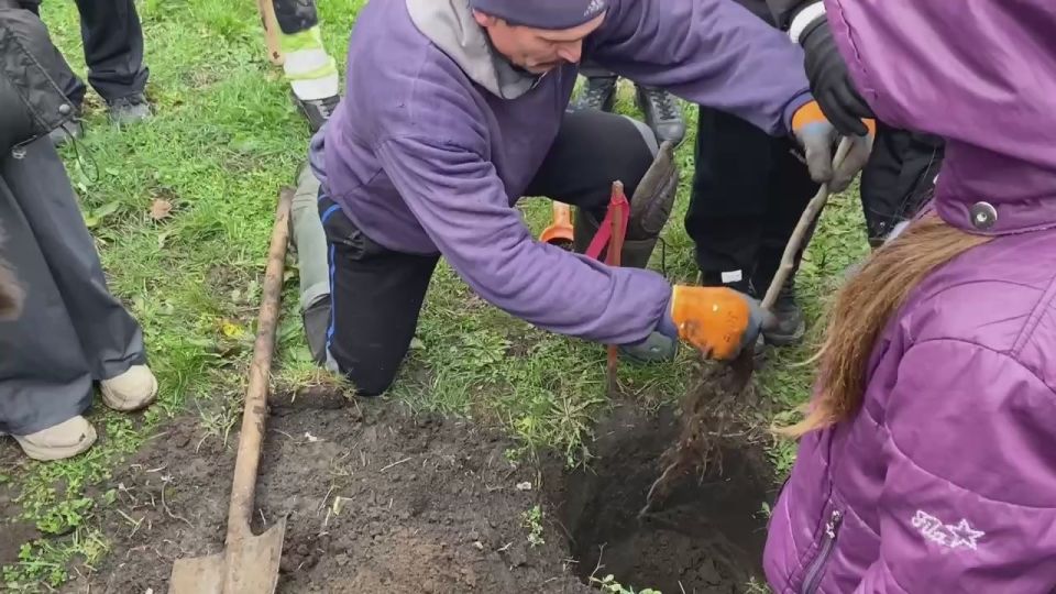 ������������� �������� ����� �������� � ����� ��� ����������� � ������