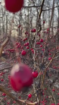 Доброе утро!. Середина недели — время для баланса: успеть, не уставая, решить, не спеша