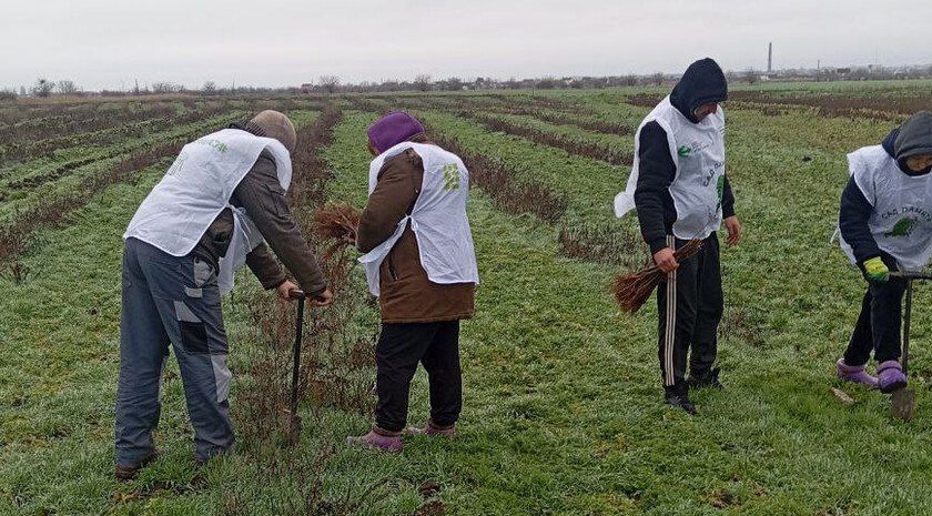 ����� 10 ���. ������� �������� � ����������� �������