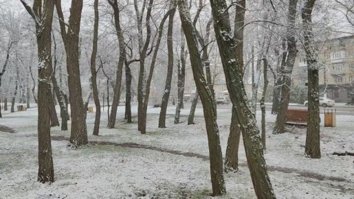 В Мелитополе сегодня выпал первый снег