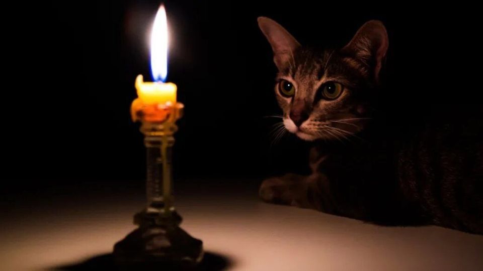 � ��������-����������� ������������� ������ � ���������� ����� ���� ���������� ��� ���������������� �������� 1430 ���������