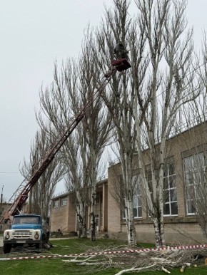 Территория в порядке!. Сотрудниками МБУ «Жилсервис» проведены работы по санитарной и формирующей обрезке деревьев в селе Фруктовое Мелитопольского муниципального округа