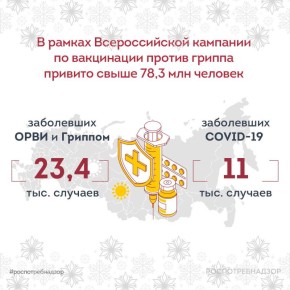 В рамках Всероссийской кампании по вакцинации против гриппа привито свыше 78,3 млн человек