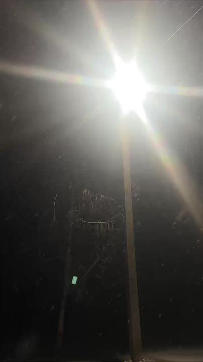 ����� ������ ��� ������