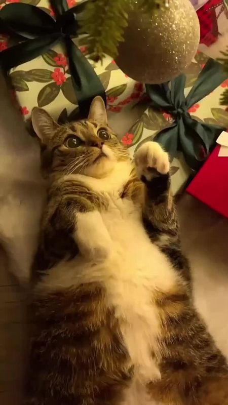 ������ ����!. �������� ������� ��� ������, � ��� ������ � ���������� ������ ������ ������!