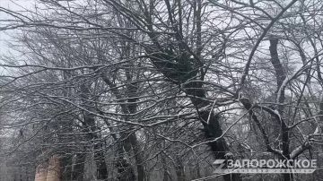 И еще немного зимней сказки из заснеженного Мелитополя
