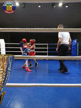13 декабря в МКУ «ФОЦ «Школе бокса им. В.Р. Манзули» прошло Открытое Первенство «Кубок города Энергодара по боксу, посвящённый Дню Конституции Российской Федерации 2025 года»