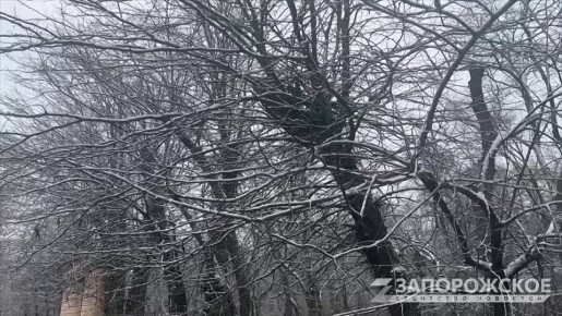 И еще немного зимней сказки из заснеженного Мелитополя