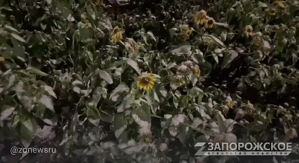 ���, ���, ���. �� ��� ��� �������� ��� ������ ����� ��������, � ������ ����� ������������ ���������� � �������� �������