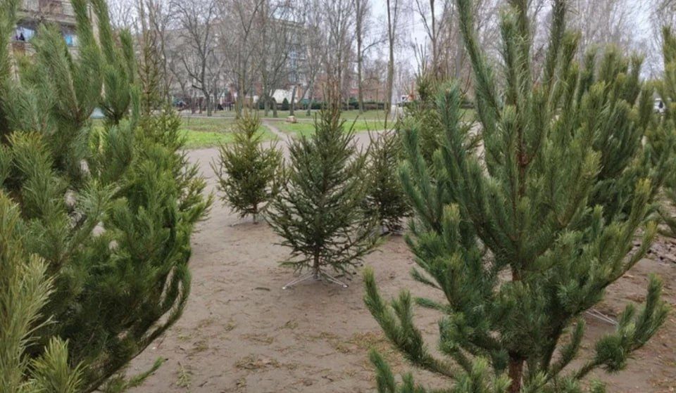 � ���������� ������ ��������� ���� � ������ ����