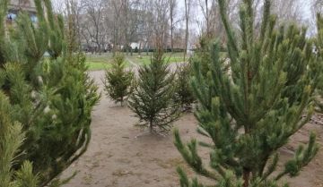 � ���������� ������ ��������� ���� � ������ ����