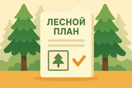 ���� � ������ ������� ������������