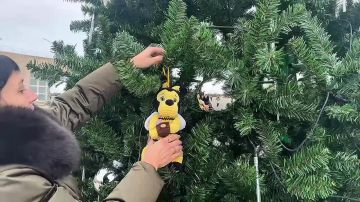 Новогоднее настроение в посёлке Фруктовом!