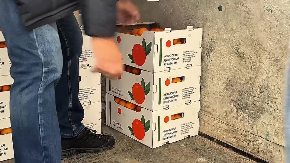 �������� ��������� �� �������: ��������� � ���� ������ � ������