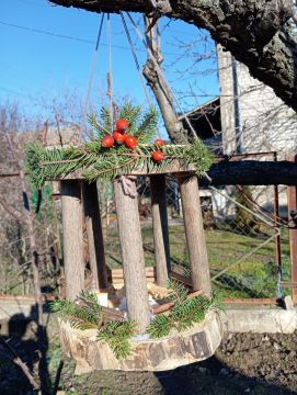 Забота о пернатых. Зимняя подкормка птиц — это не только помощь природе, но и важный урок доброты и заботы о живом мире